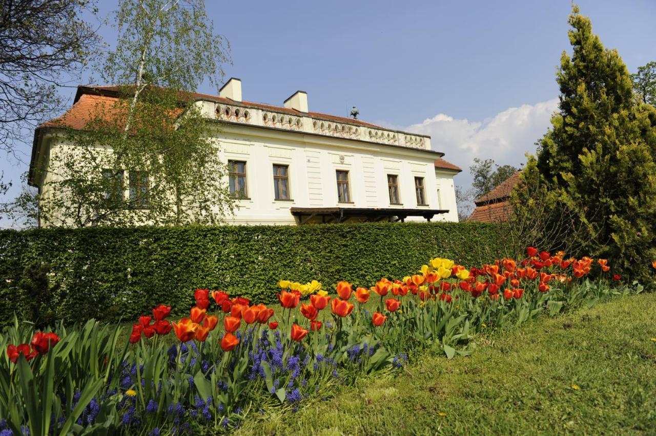 Hotel David Bossány Kültér fotó