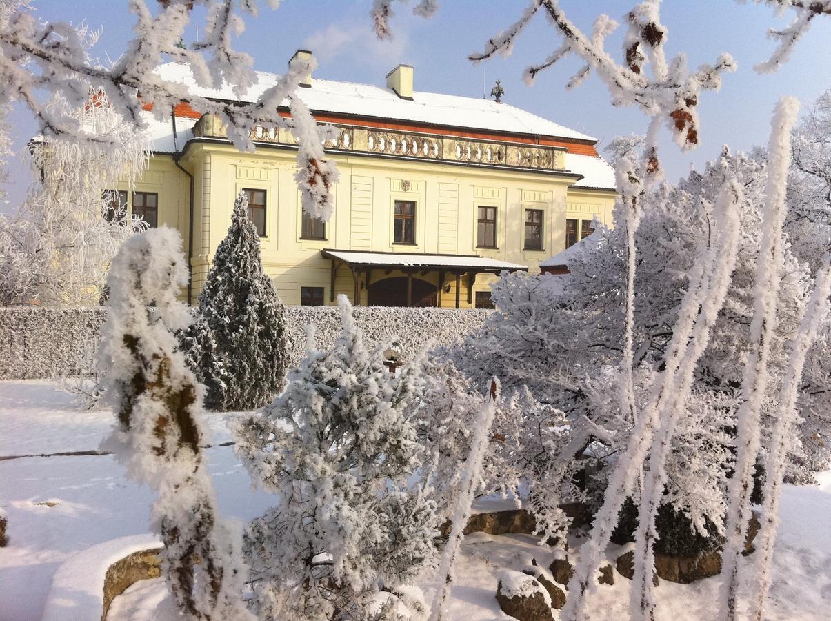 Hotel David Bossány Kültér fotó